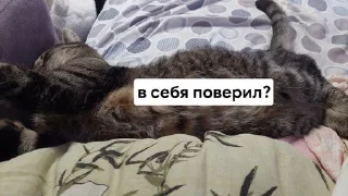 Sticker from локи