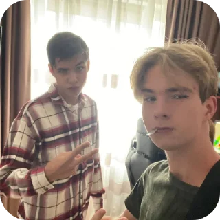 🎢 emoji Я люблю свою страну Telegram sticker 9 of 119