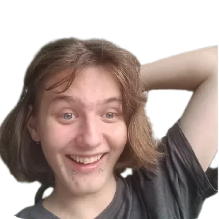 🙂 emoji AUSWEIS Telegram sticker 9 of 15