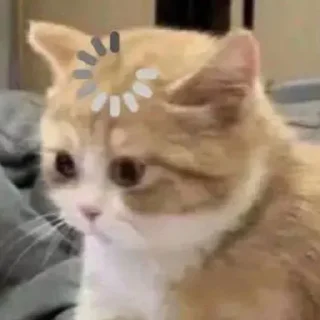 🤓 emoji чуча Telegram sticker 16 of 25