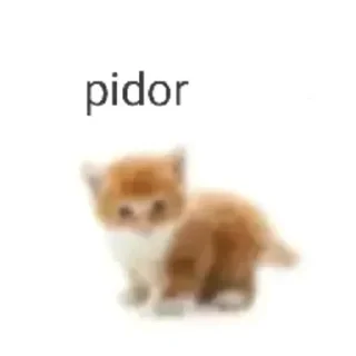 😼 emoji не воруйте свки Telegram sticker 2 of 12