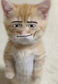 😏 emoji мятный шоколад топ Telegram sticker 13 of 40