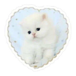 Sticker from trafi