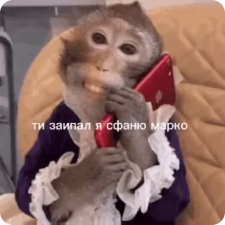 🌟 emoji Марка брад Telegram sticker 9 of 17