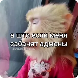 🌟 emoji Марка брад Telegram sticker 7 of 17