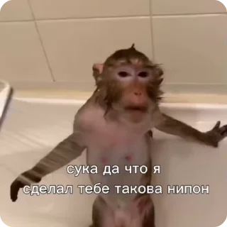 🌟 emoji Марка брад Telegram sticker 15 of 17