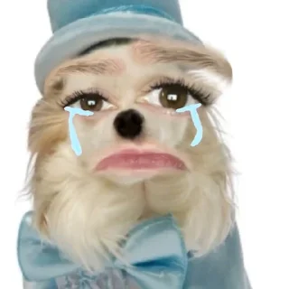 🥺 emoji У blue dog Telegram sticker 19 of 33