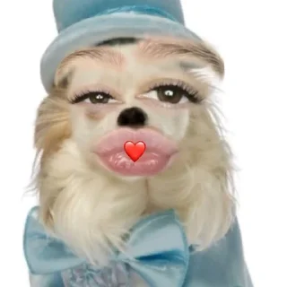 😘 emoji У blue dog Telegram sticker 9 of 33