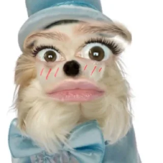 😳 emoji У blue dog Telegram sticker 22 of 33
