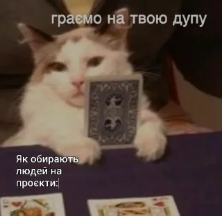 🌟 emoji Будні MROKO quild Telegram sticker 19 of 50