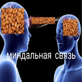 😲 emoji Бич Telegram sticker 21 of 52
