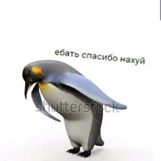 Sticker from Бэд бич