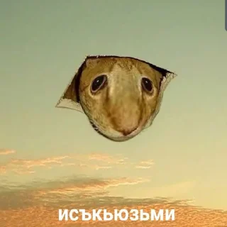 🥳 emoji Бэд бич Telegram sticker 23 of 55