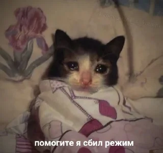 🌟 emoji как жить Telegram sticker 14 of 26