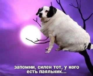 🗿 emoji как жить Telegram sticker 21 of 26