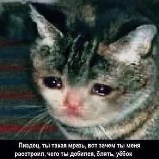 😢 emoji Perfect stickers Telegram sticker 21 of 100