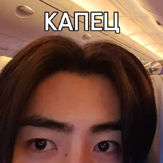 🕊 emoji стики Сонхуна из спарклинг ➡️ @Ctikerubot Telegram sticker 9 of 9