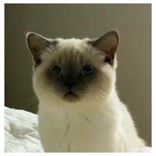 Sticker from котя