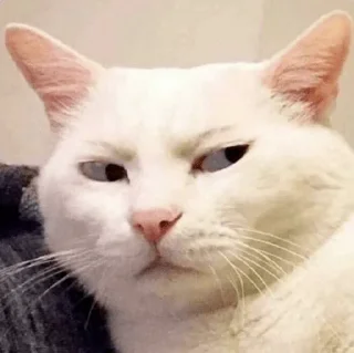😒 emoji Котя Telegram sticker 9 of 120