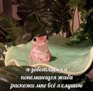 👂 emoji жЫзнь Telegram sticker 24 of 69