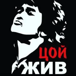 Sticker from #ЦойЖив @Karim_i_to4ka