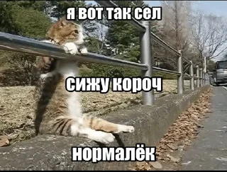 🌟 emoji Гучигенгово Telegram sticker 6 of 98