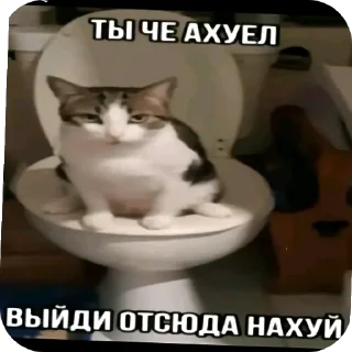 Sticker from Добрый