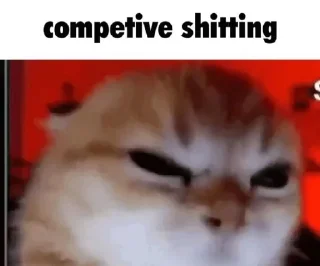 😤 emoji Goofy Cats Telegram sticker 20 of 81
