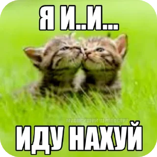 🐱 emoji 1001 способ как поздороваться Telegram sticker 20 of 20