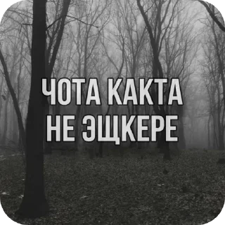 👍 emoji 1001 способ как поздороваться Telegram sticker 19 of 20