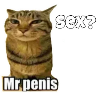 🤨 emoji Mr_penis Telegram sticker 20 of 38