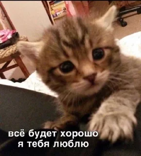 💞 emoji от мирки💋 Telegram sticker 14 of 98