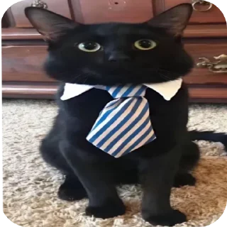Sticker from Котеки