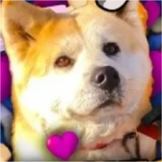 Sticker from Улей