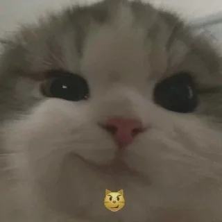 😼 emoji Передоз кринжа Telegram sticker 16 of 65
