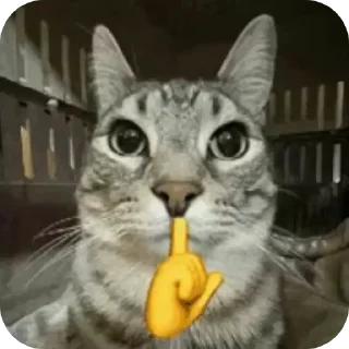 🐱 emoji Передоз @TgEmodziBot Telegram sticker 7 of 8
