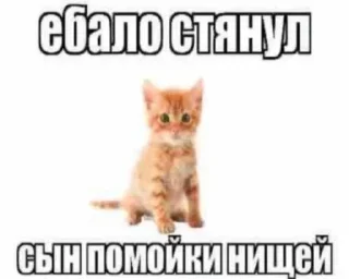 😈 emoji луна @lunniykanal Telegram sticker 19 of 54
