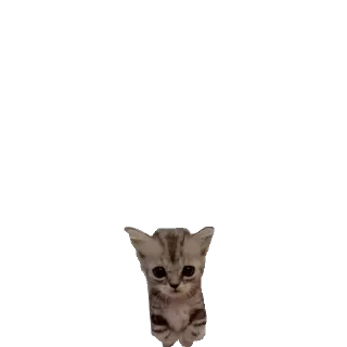 🥺 emoji @stikerk877 Telegram sticker 1 of 30