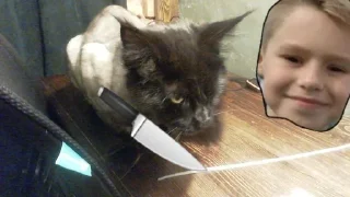 🔪 emoji Даун Telegram sticker 20 of 28