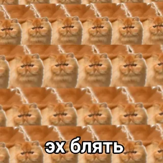 🥲 emoji Эх бляя Telegram sticker 10 of 15