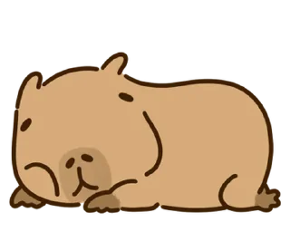 Sticker from Больше стикеров: @capybarastiker