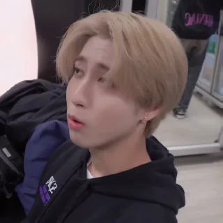 🐿 emoji JISUNG @stikhoss Telegram sticker 9 of 35