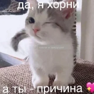 Sticker from Китики