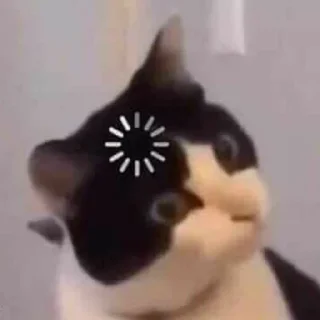 🗳️ emoji Для переговоров Telegram sticker 16 of 39