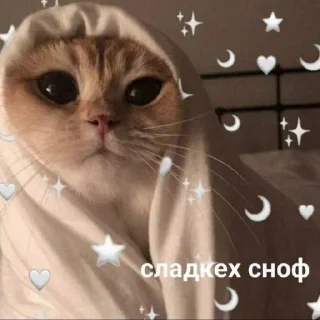 🌠 emoji Для переговоров Telegram sticker 19 of 39