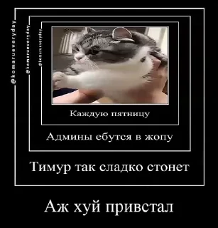 🥵 emoji Больше стикеров 👉🏻 @stickertg4 Telegram sticker 15 of 39
