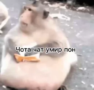 😶 emoji Больше стикеров 👉🏻 @stickertg4 Telegram sticker 19 of 39