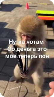🌟 emoji Больше стикеров: @sticerru Telegram sticker 19 of 50
