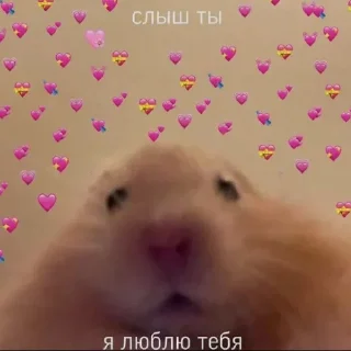 ♥️ emoji Не заходи сюда👉🏻 @stikiin Telegram sticker 14 of 119