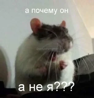 🌟 emoji мусорка Telegram sticker 18 of 92